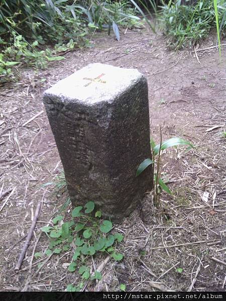 小觀音山西峰 1043M