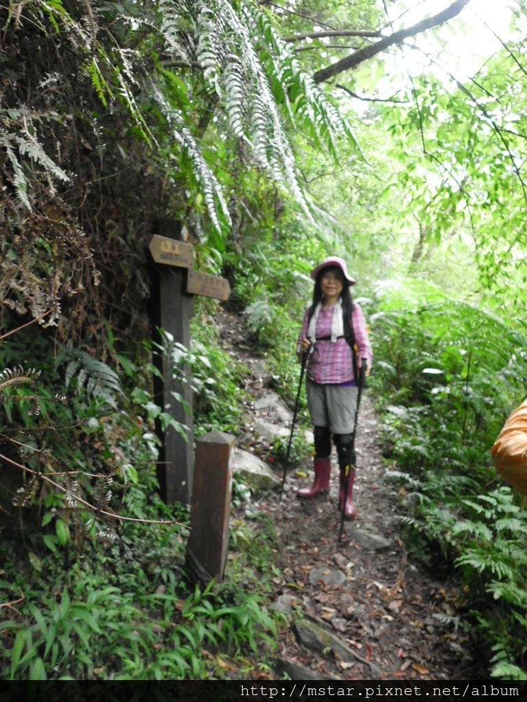 志良久山岔路