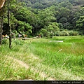 夢湖