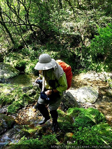 桶後溪上游源頭