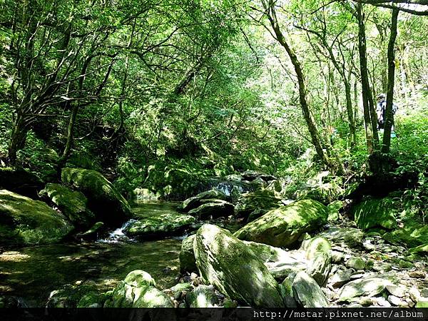 桶後溪上游源頭