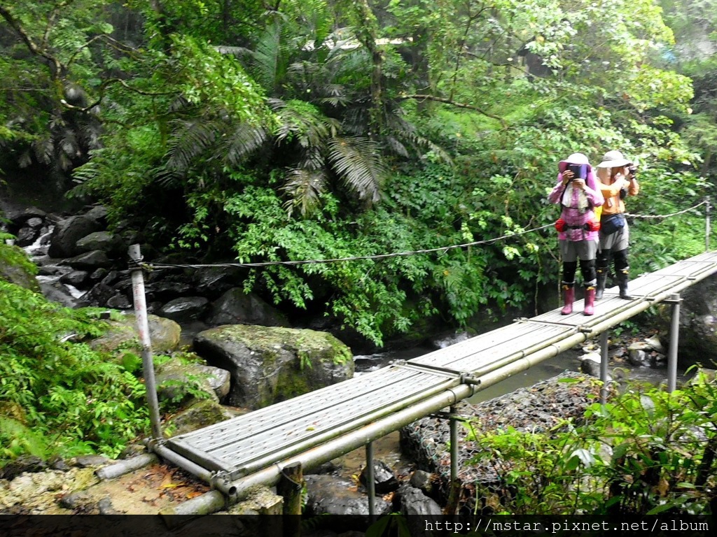 鐵管鷹架橋