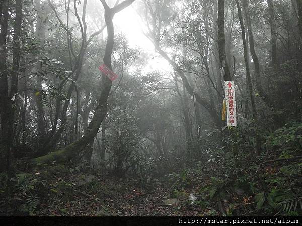 下往雲森瀑布、熊空