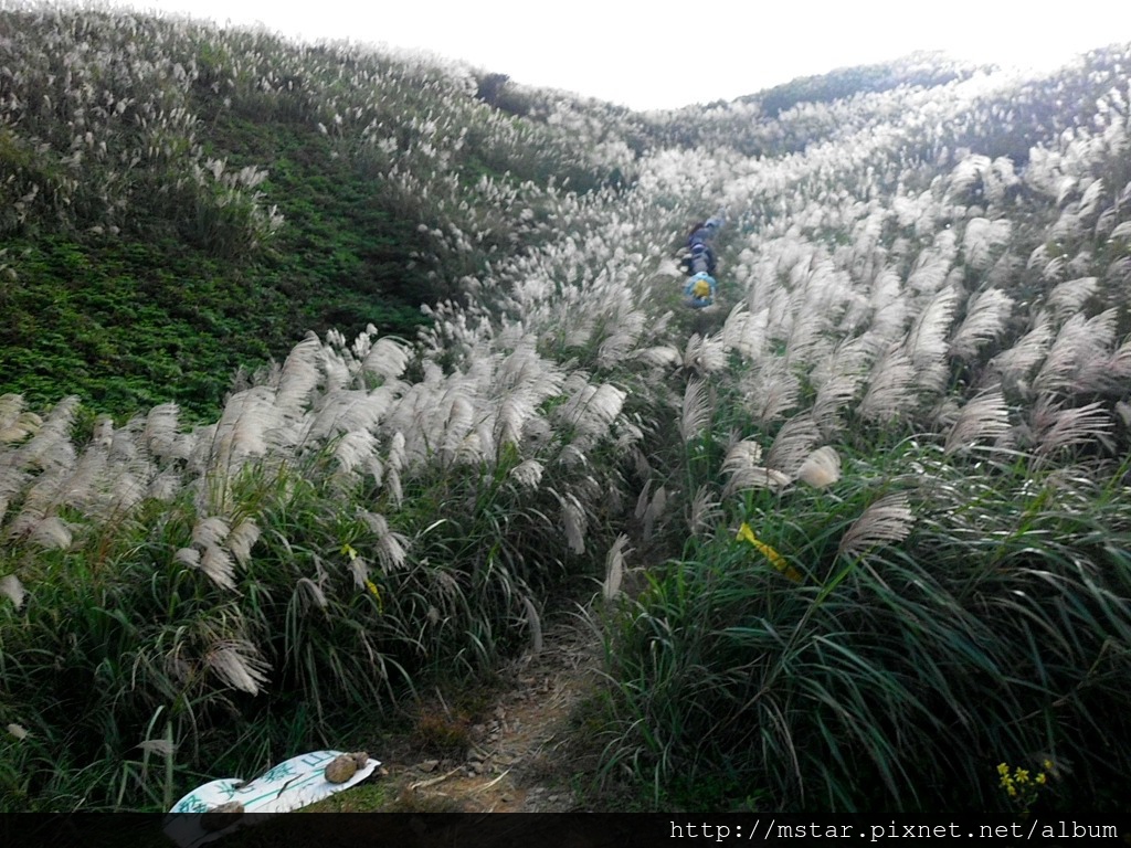 登燦光寮山