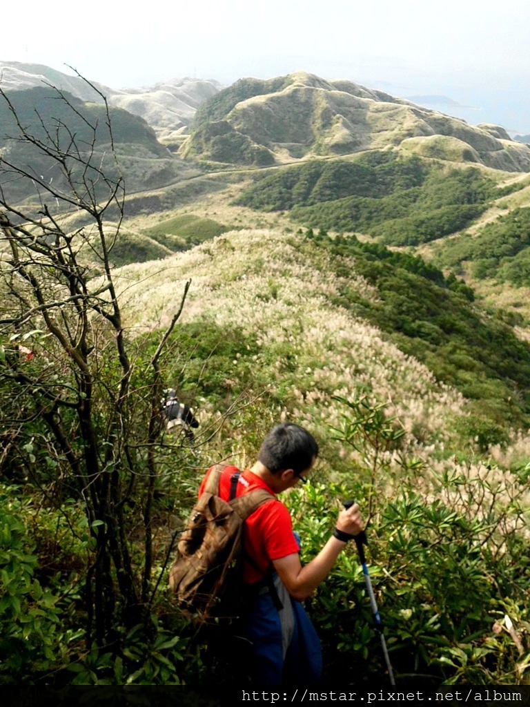 芒草山群