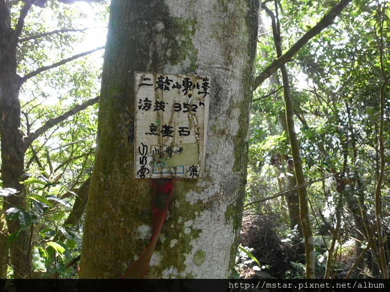 二龍山東北峰 352M