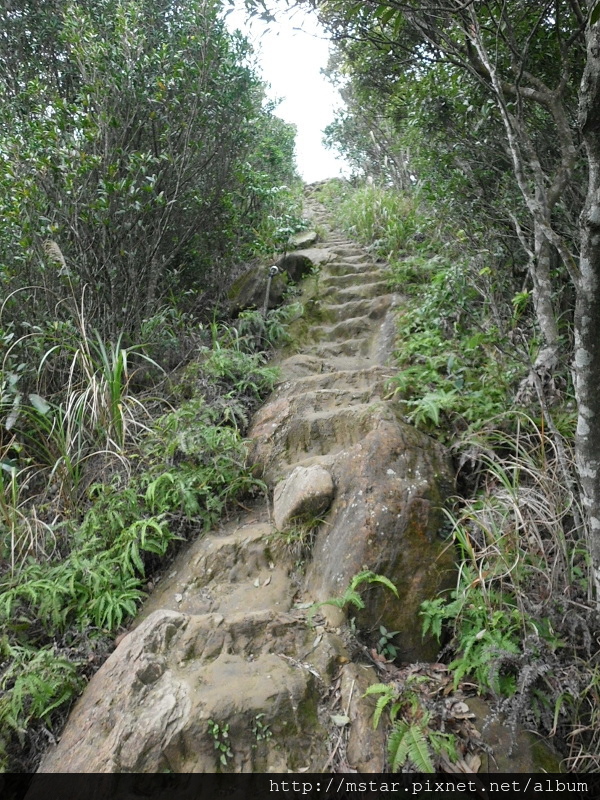 岩石鑿出階梯