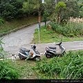 出來後續行對面車道