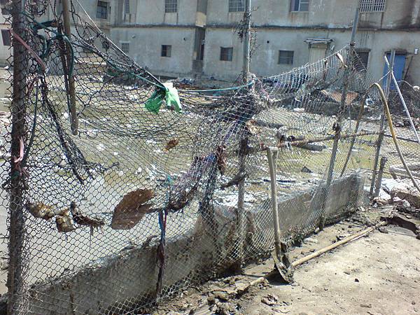 掛網被曬乾的魚