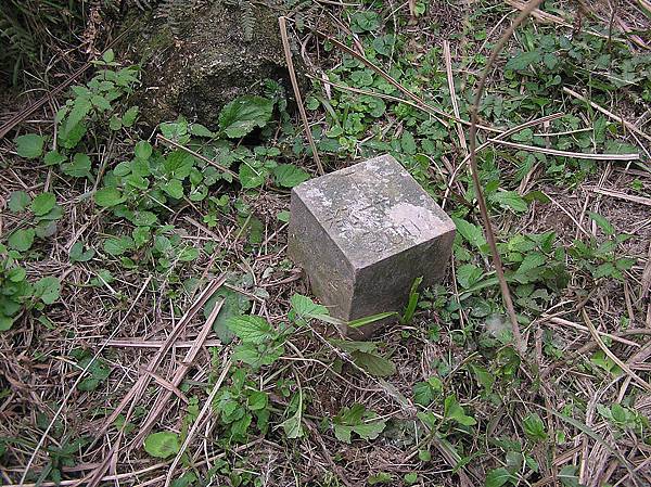 頂山西南峰 740M