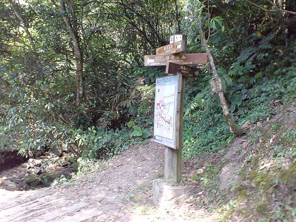 往四面頭山的岔路