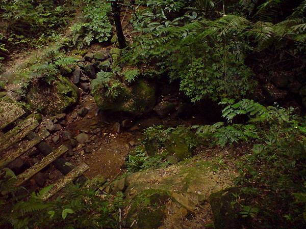 地圖上沒有的岔路