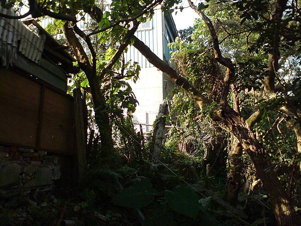 蟾蜍山頭被蛇腹刺絲阻絕