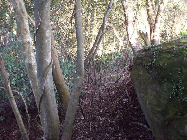 岔路，前方左側有路陡下往中埔山