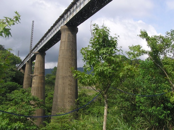 新魚藤坪橋