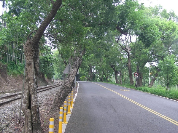 綠色隧道 綠色隧道
