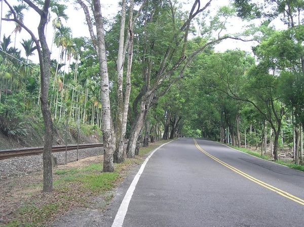綠色隧道 綠色隧道