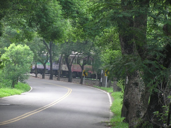 綠色隧道 綠色隧道