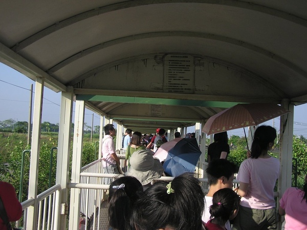 折返回新營糖廠 折返回新營糖廠