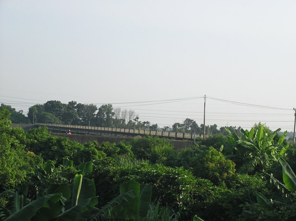 急水溪橋