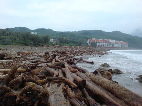 留下海灘前緣的大木頭來擋 留下海灘前緣的大木頭來擋
