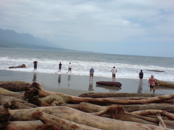 看海浪 看海浪