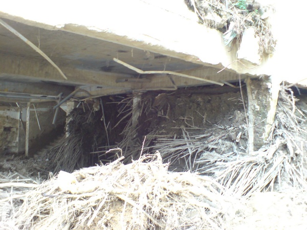 一樓積滿土 一樓積滿土