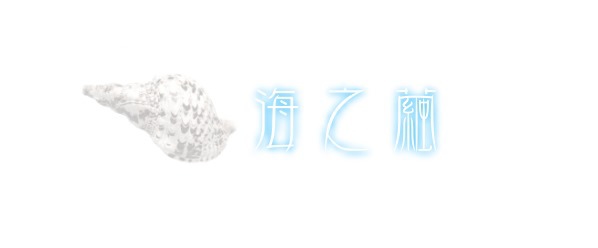 seashell seashell