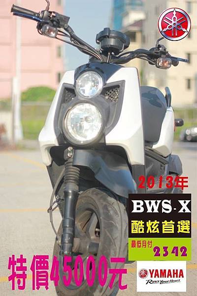 BWS2013800020