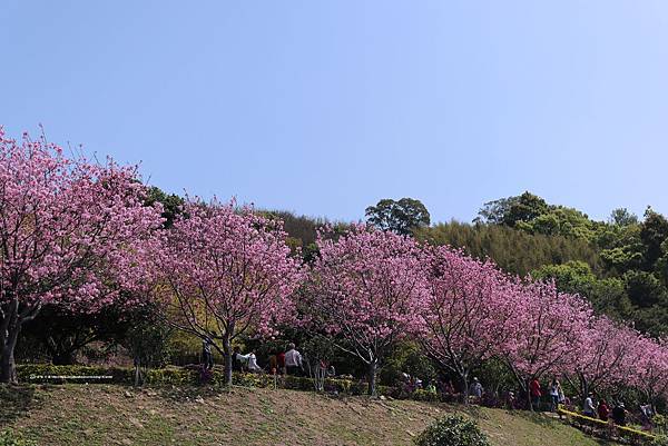 獅潭小旅行_82.JPG