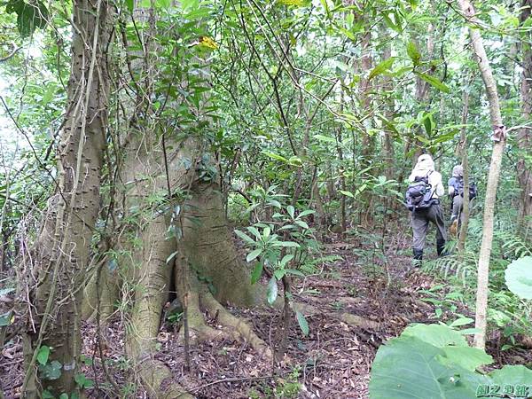 陰影山行20130907 (11)