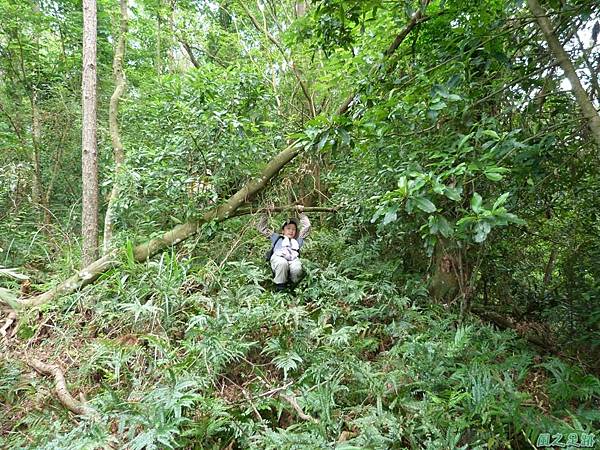 陰影山行20130907 (22)