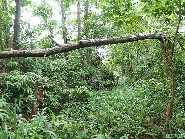 陰影山行20130907 (27)