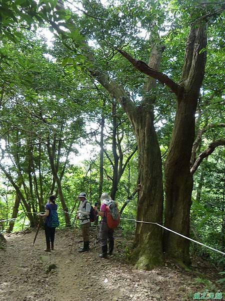 石壁潭山20130920 (54)