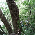 鳥嘴山西南峰20130919 (28)