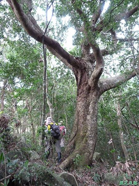 鳥嘴山西南峰20130919 (80)