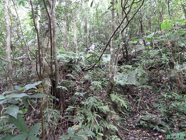 鳥嘴山西南峰20130919 (112)