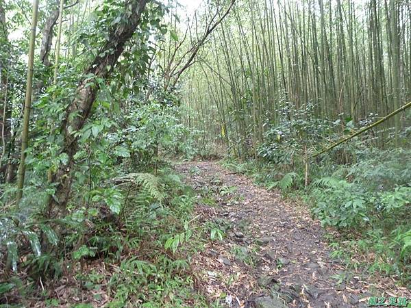 鳥嘴山西南峰20130919 (113)