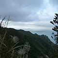 南雅山20131109 (13).JPG