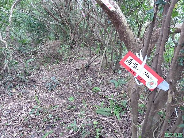 南雅山20131109 (16).JPG