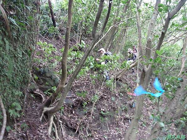 南雅山20131109 (19).JPG