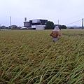 六張犁20131102  (7).JPG