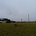 六張犁20131102  (8).JPG