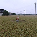 六張犁20131102  (9).JPG