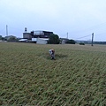 六張犁20131102  (12).JPG