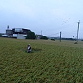 六張犁20131102  (14).JPG
