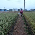 六張犁20131102  (16).JPG