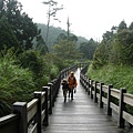翠峰湖山行20070707(47).jpg