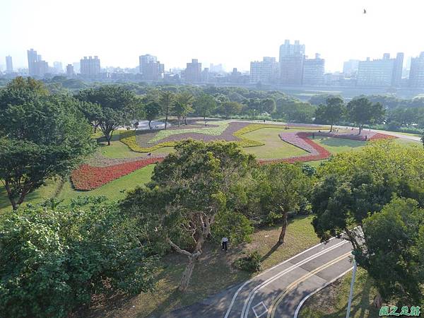 北市河濱花海地景20131202(4)