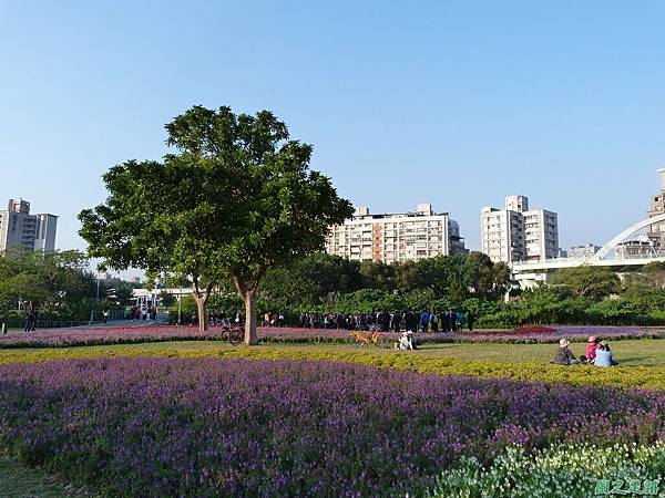 北市河濱花海地景20131202(16)